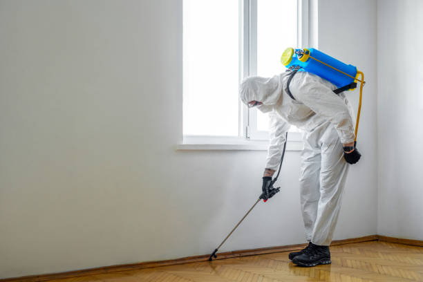 Best Wasp Removal Services  in Park Hills, KY