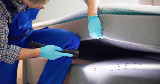 Best Best Pest Control Companies  in Park Hills, KY