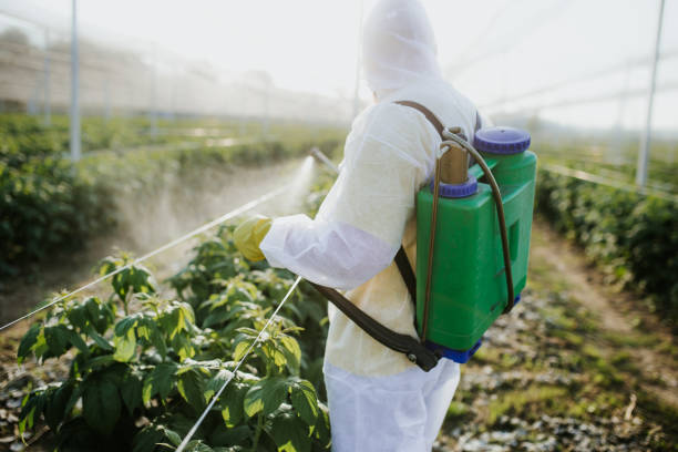 Reliable Park Hills, KY Pest Control Solutions